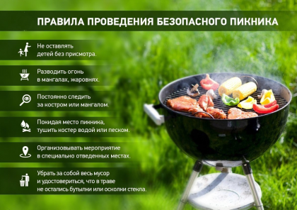 Как провести пикник безопасно